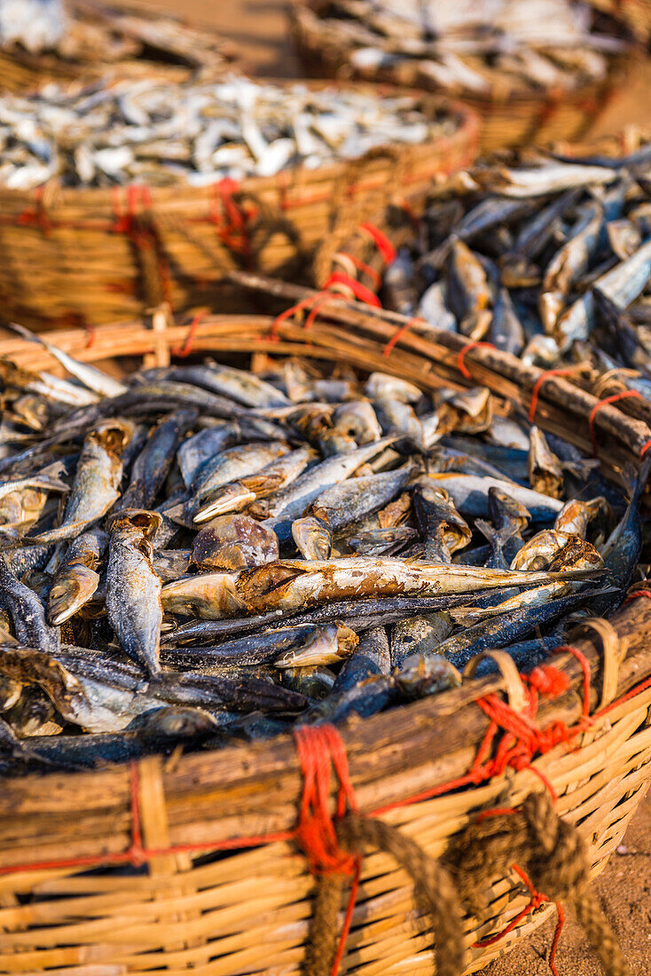 Fish drying in baskets at Negombo fish market (Lellama fish market), Negombo, West Coast of Sri Lanka, Asia