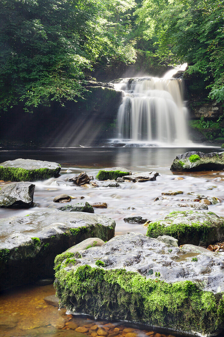 Westburton Waterfall, Westburton, Yorkshire Dales, Yorkshire, England, United Kingdom, Europe