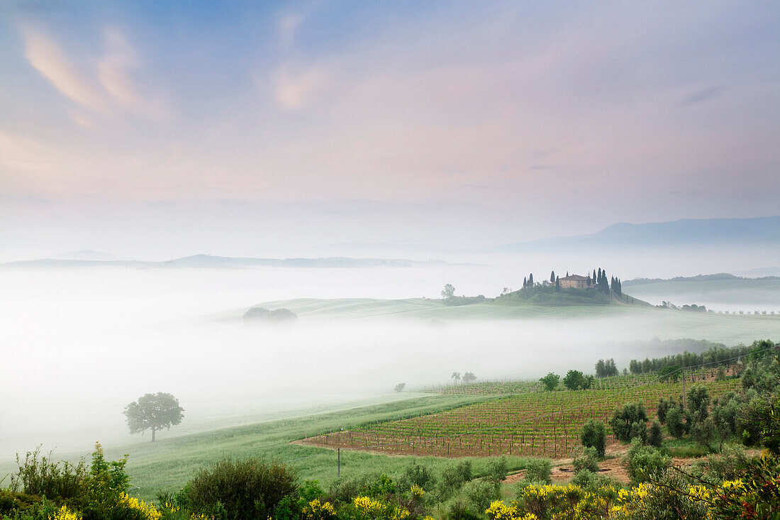 Early morning fog at the farmhouse Belvedere, Orcia Valley (Val d'Orcia), UNESCO World Heritage Site, Siena region, Tuscany, Italy, Europe