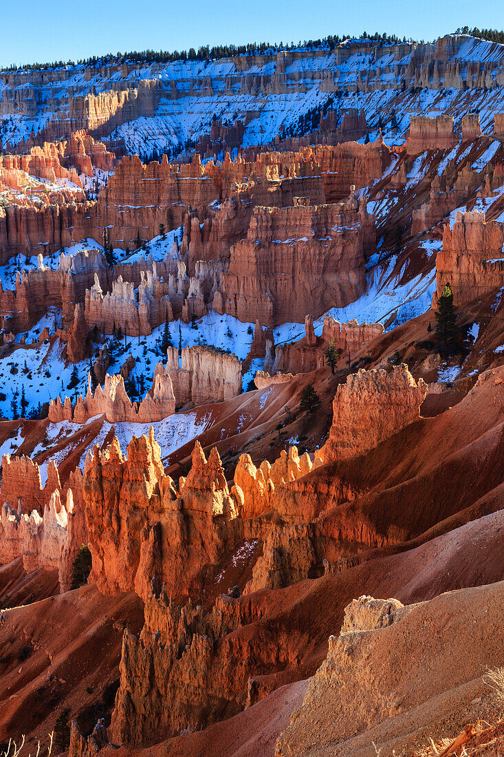 Hoodoos and snowy rim cliffs lit by strong late afternoon sun in winter, near Sunrise Point, Bryce Canyon National Park, Utah, United States of America, North America