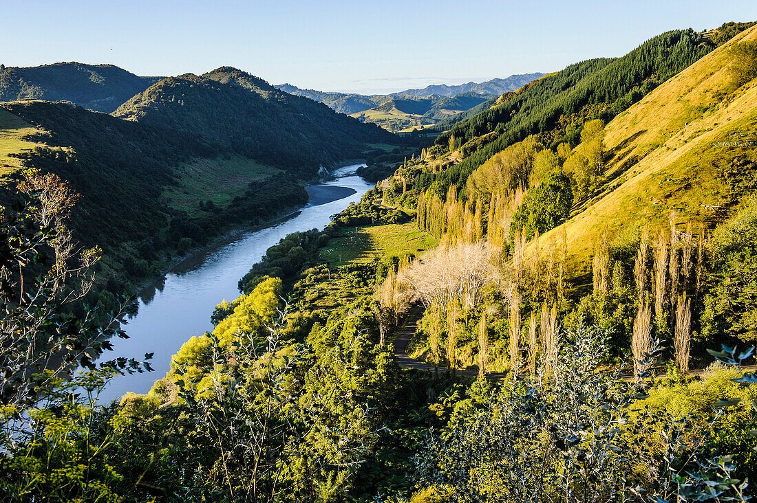 View over the Whanganui River in the lush green countryside, Whanganui River road, North Island, New Zealand, Pacific