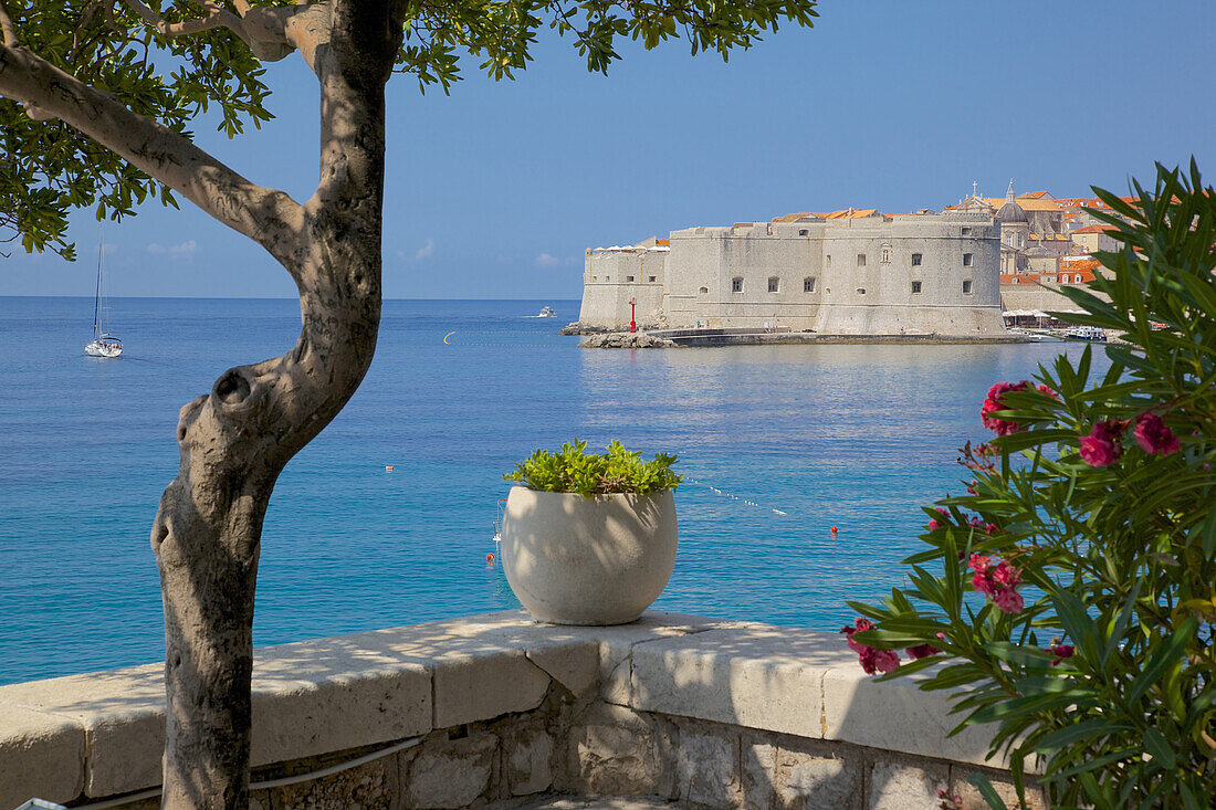 View of Old Town, UNESCO World Heritage Site, Dubrovnik, Dalmatia, Croatia, Europe