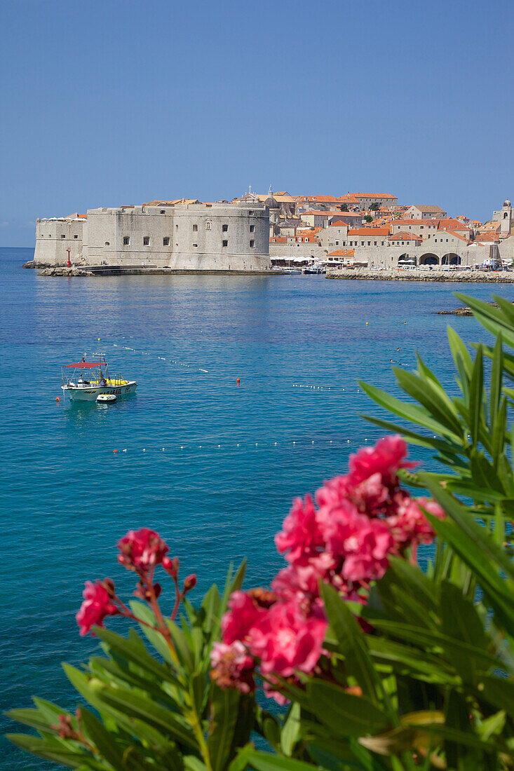 View of Old Town, UNESCO World Heritage Site, Dubrovnik, Dalmatia, Croatia, Europe