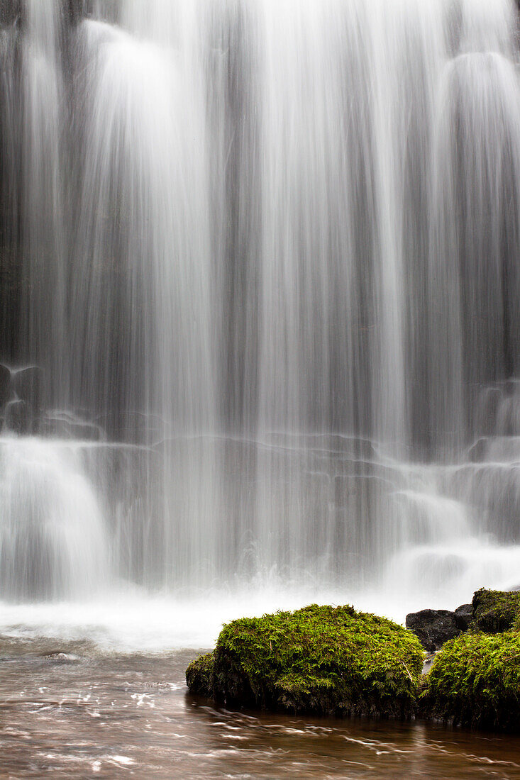 Scaleber Force (Foss Waterfall) near Settle, North Yorkshire, Yorkshire, England, United Kingdom, Europe