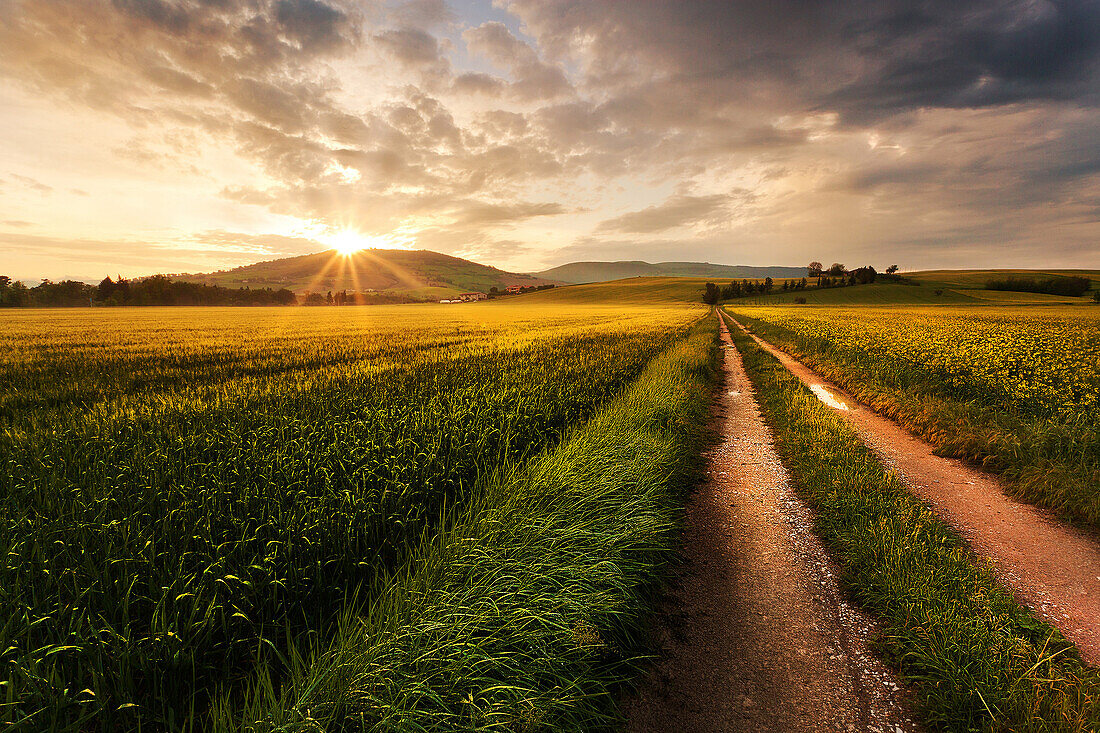 Pathway in the meadows on countryside at sunset, Marche, Italy