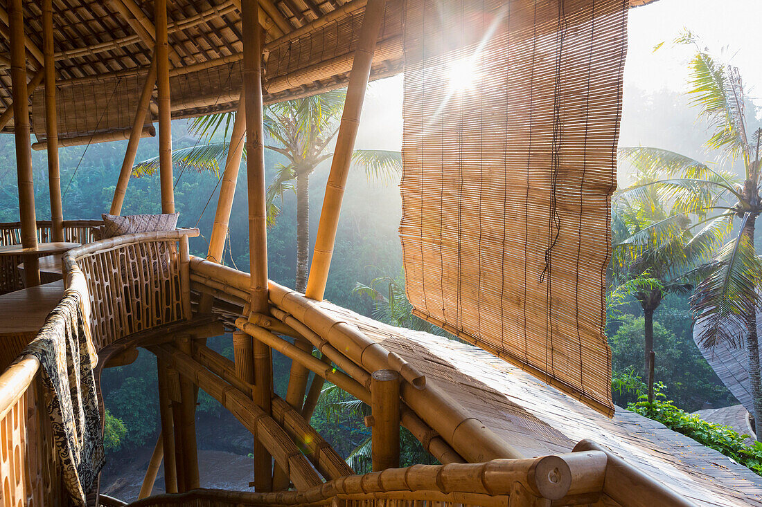 Sun shining on bamboo treehouse, Ubud, Bali, Indonesia