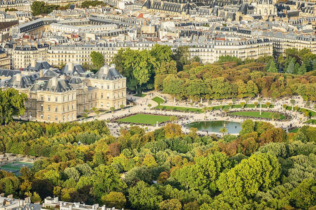 Aerial view of Paris cityscape, Paris, Ile de France, France, Paris, Ile de France, France