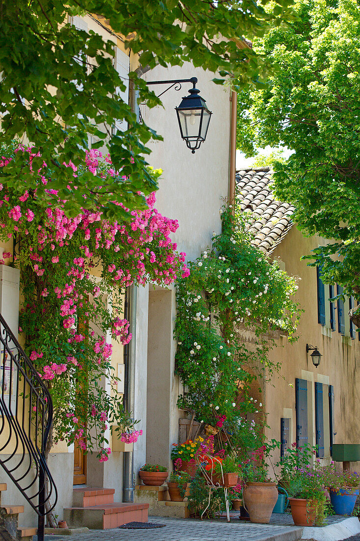 France, Gard (30), Saint Quentin Pottery, picturesque village and flowers Country Uzes, colorful streets of a village of potters