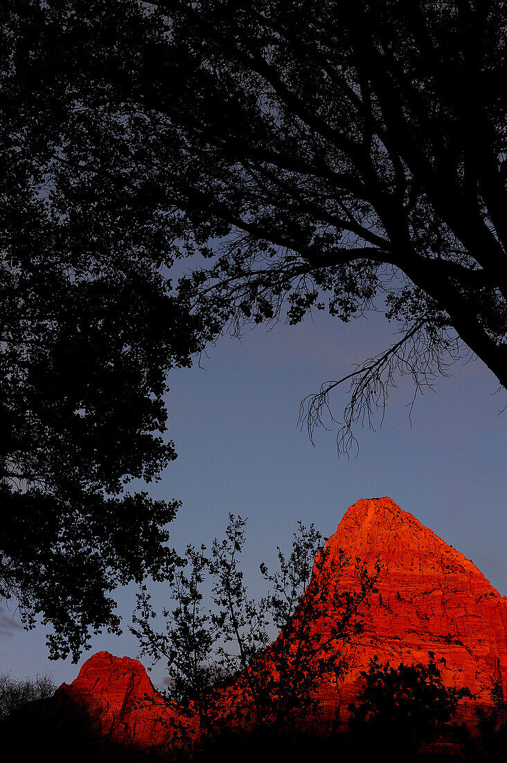 ALONG VIRGIN VALLEY, ZION NATIONAL PARK, UTAH, USA