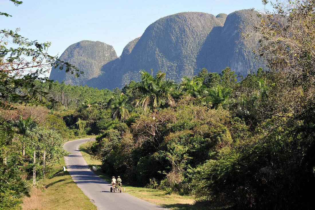Mogote, Vinales, Pinar del Rio province, Cuba, Caribbean