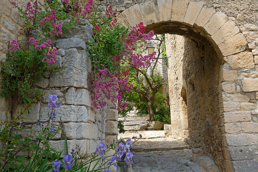 France, Vaucluse (84), Crestet picturesque village with its cobbled streets, stone houses and ornate fountain, situated at near Vaison la Romaine