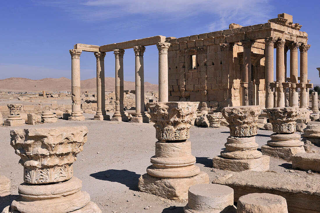 Syria, archaeological site of Palmyra, October, November 2010. Former Roman city