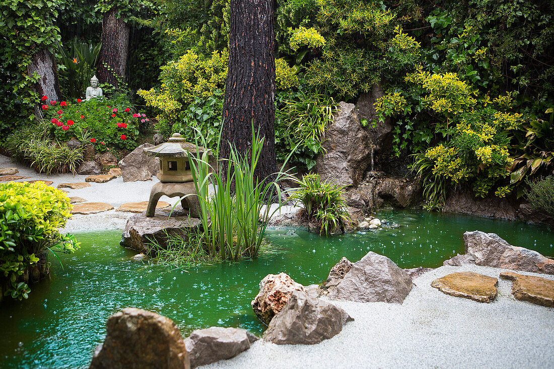 Spain, Catalunya, Barcelona City, garden on a rainy day