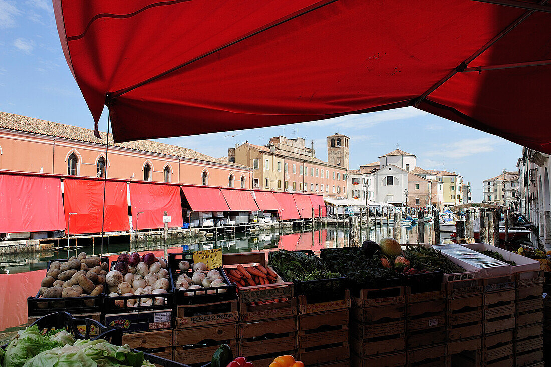 'Italy, Venetia, Province of Venice, fishermen's Village: ''Chioggia'''