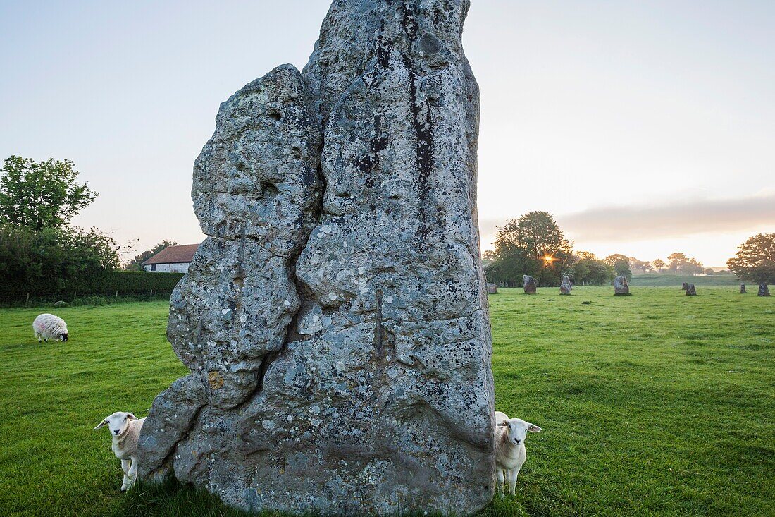 England, Wiltshire, Avebury, Avebury Stone Circle