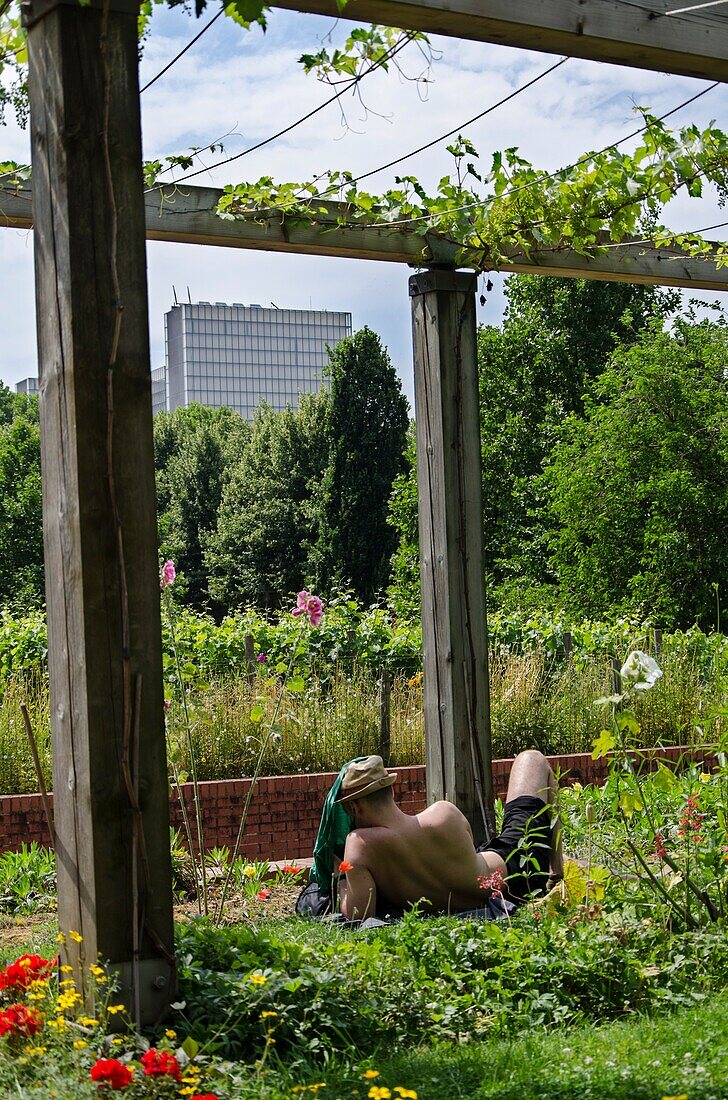 'France, Paris 12th district, Parc de Bercy, young man relaxing at the ''Flowerbeds''; National Library of France in the background'