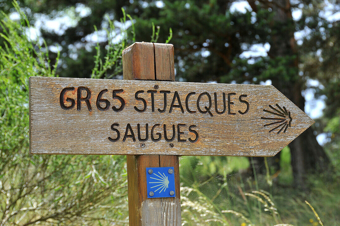 Way of St. James. Sign. Sagues. France.