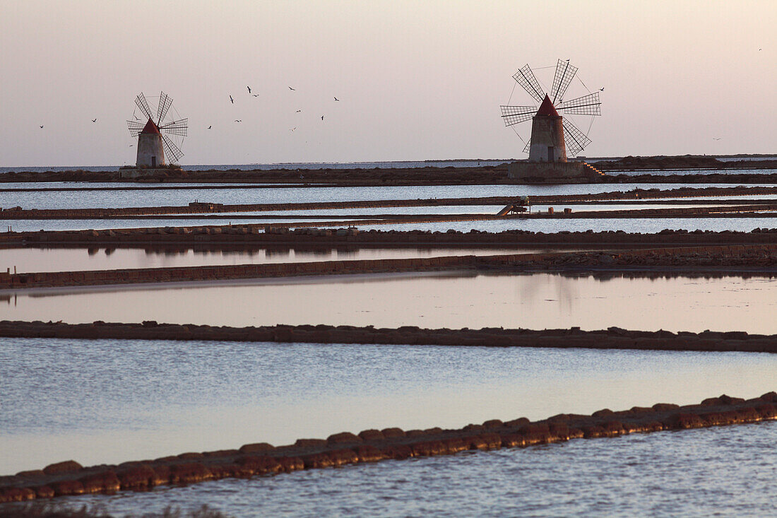 Italy, Sicily, Trapani province, Marsala, salt pond and windmill