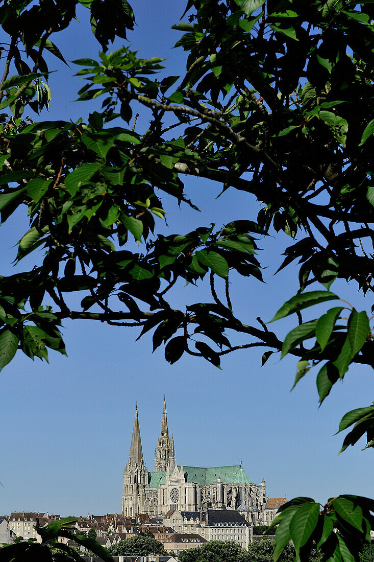 France, Eure-et-Loir, 28, Chartres, The Cathedral (UNESCO world heritage)