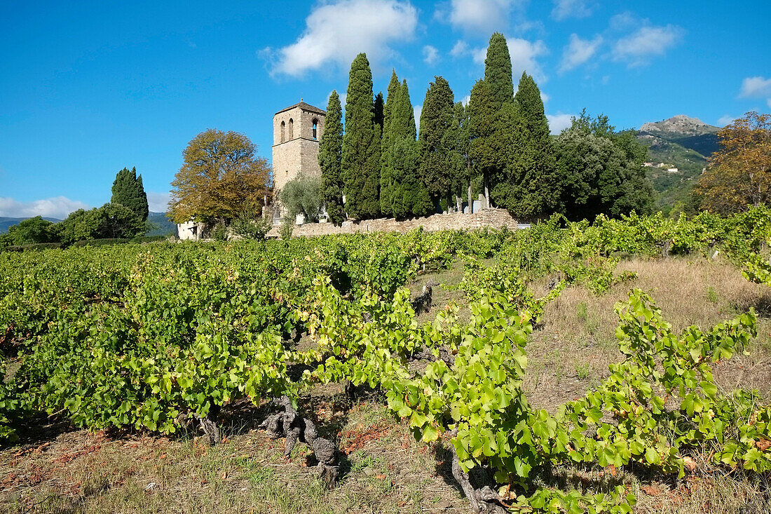 France, Hérault, Parc Régional du Haut Languedoc, the priory of St. Julien.