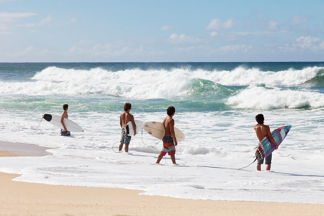 'Four young surfers check out the incoming waves; Oahu, Hawaii, United States of America'