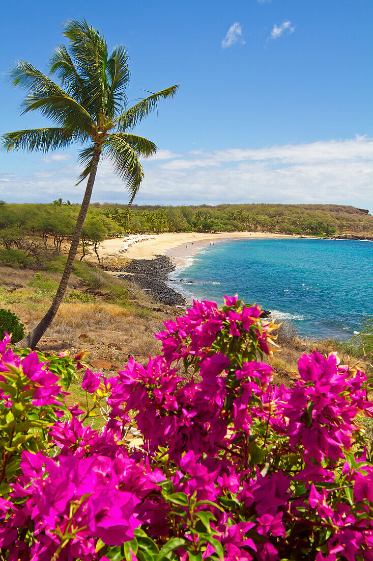 'View of Hulopoe Beach and Manele Bay, viewed from Four Seasons Resort Lanai at Manele Bay; Lanai, Hawaii, United States of America'