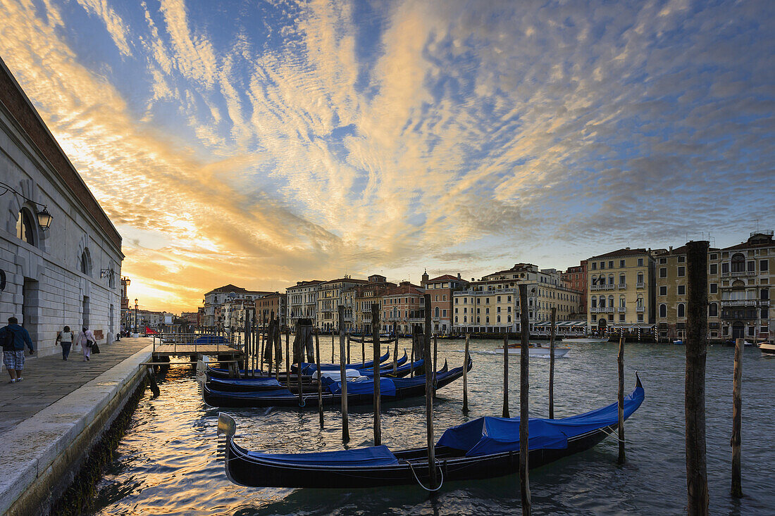 'Gondolas Mooring In The Water At Sunrise; Venice, Italy'