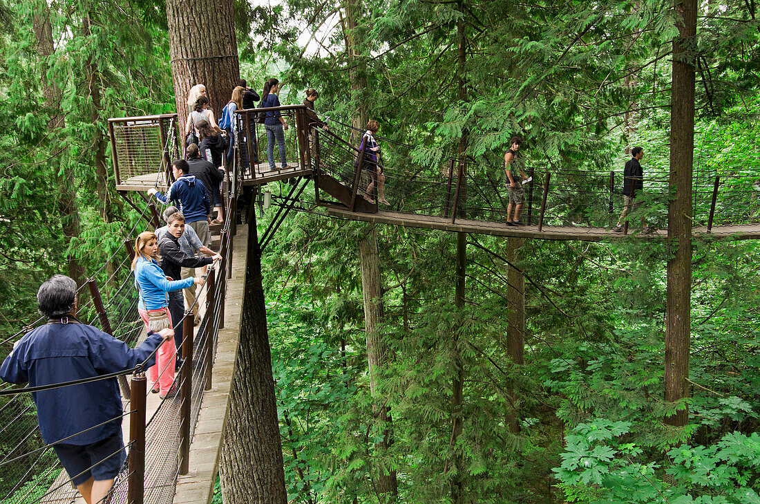 'Tourists Walk Across Bridge At Capilano Suspension Bridge Park; North Vancouver, British Columbia, Canada'