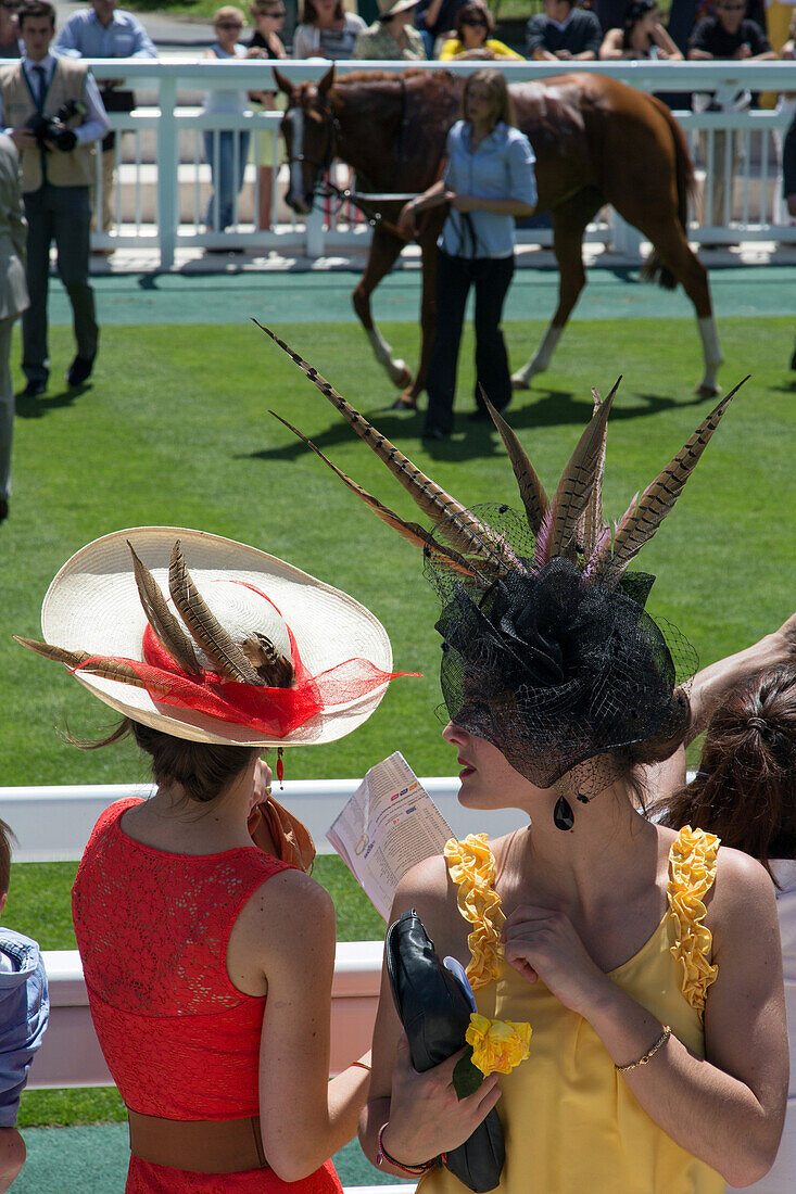 Chic and elegant public in hats at the presentation of the horses, 2013 prix de diane longines horse race, chantilly racecourse, oise (60), france