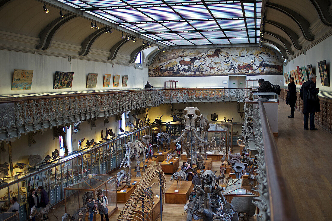 Museum, gallery of palaeontology and comparative anatomy, jardin des plantes, paris (75)