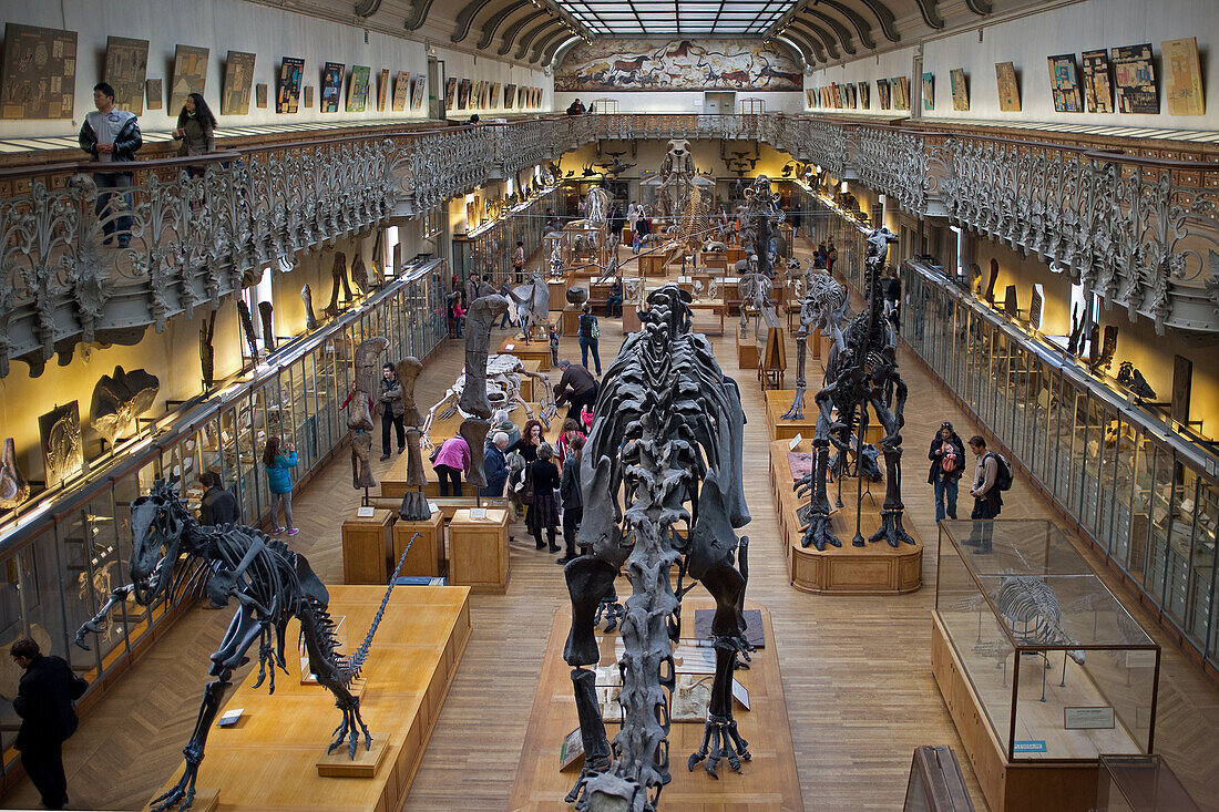 Museum, gallery of palaeontology and comparative anatomy, jardin des plantes, paris (75)