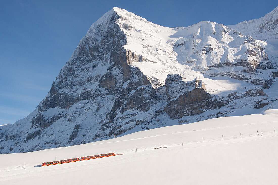 Wintry view of the train of the jungfrau making its way through the snow at the summit of the eiger, bernese alps in winter, canton of bern, switzerland