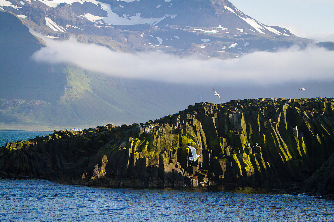 Melrakkaey island, protected site at the mouth of the grundafjordur bay, a veritable paradise for marine birds, with mount kirkjufell in the background, grundarfjordur, snaefellsnes peninsula, western iceland, europe