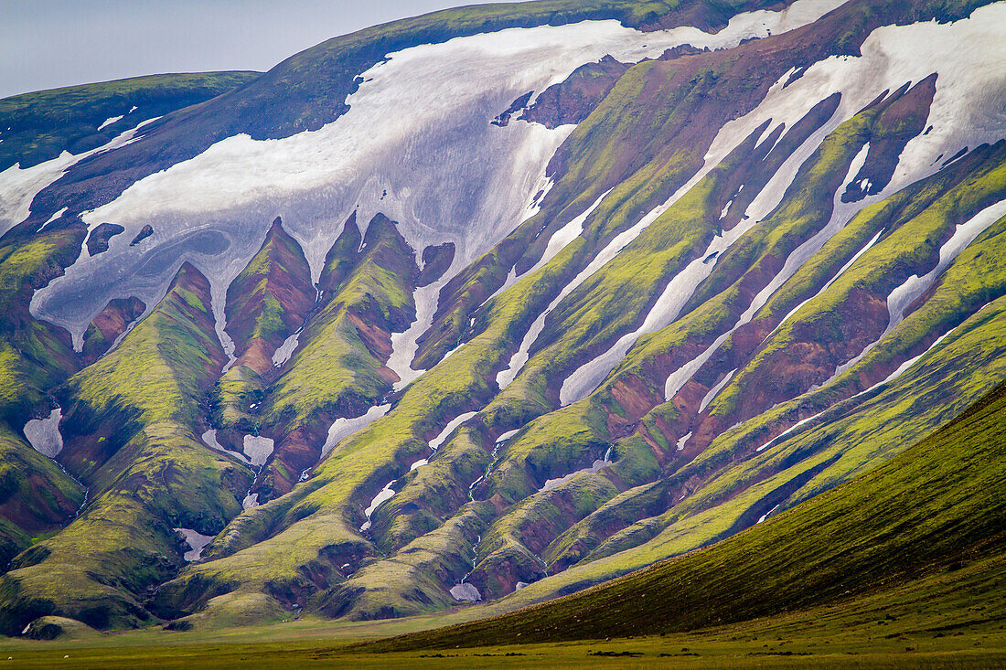 Eternal snows in landmannalaugar, volcanic and geothermal zone of which the name literally means 'hot baths of the people of the land', region of the high plateaus, southern iceland, europe