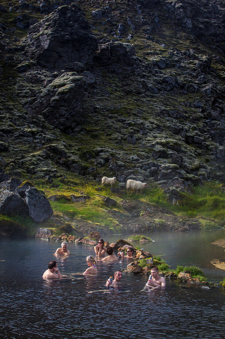 Bathing in a natural hot spring, volcanic and geothermal zone of landmannalaugar, the name literally means 'hot baths of the people of the land', region of the high plateaus, southern iceland, europe