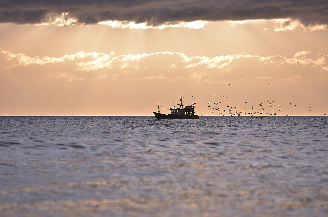 Fishing boat in the bay of somme, picardy, france