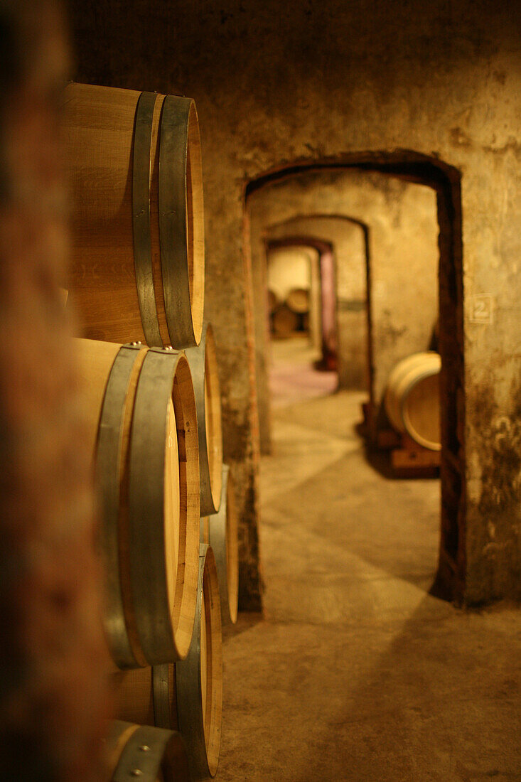 The priorat vineyards, wine cellars of the cimes de porrera, tarragona, catalonia, spain