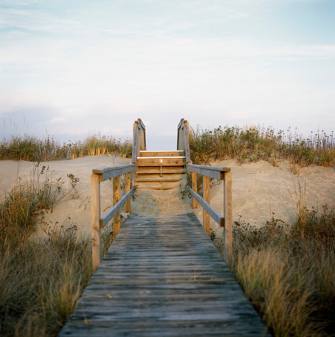 Beach Walkway