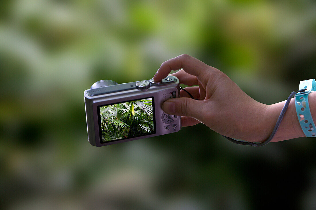 Hand Holding Digital Camera, Close Up