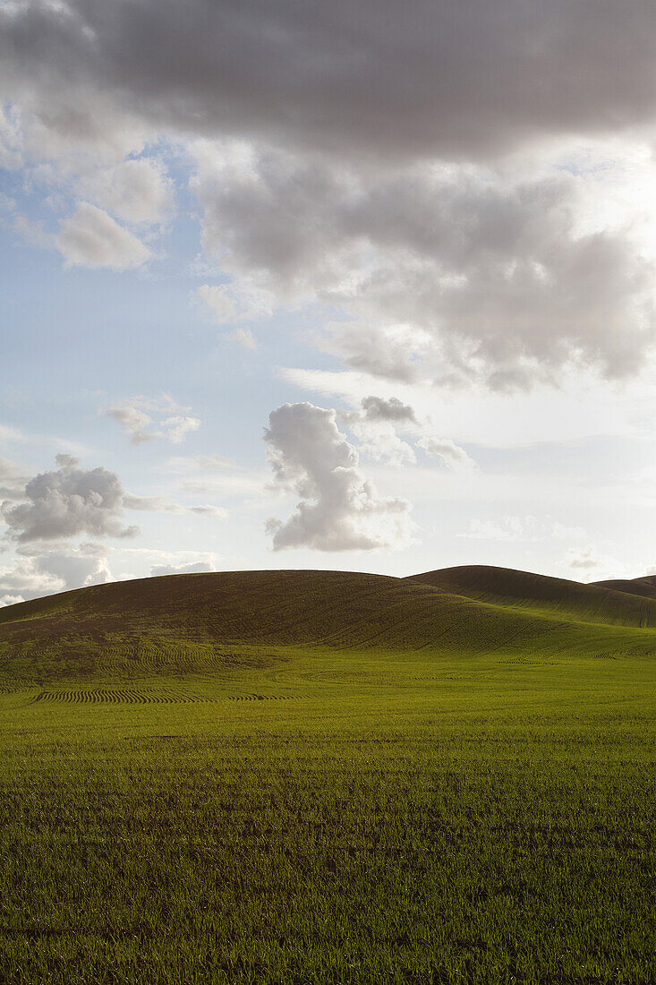 Green Fields and Rolling Hills Against Dramatic Sky, Washington, USA