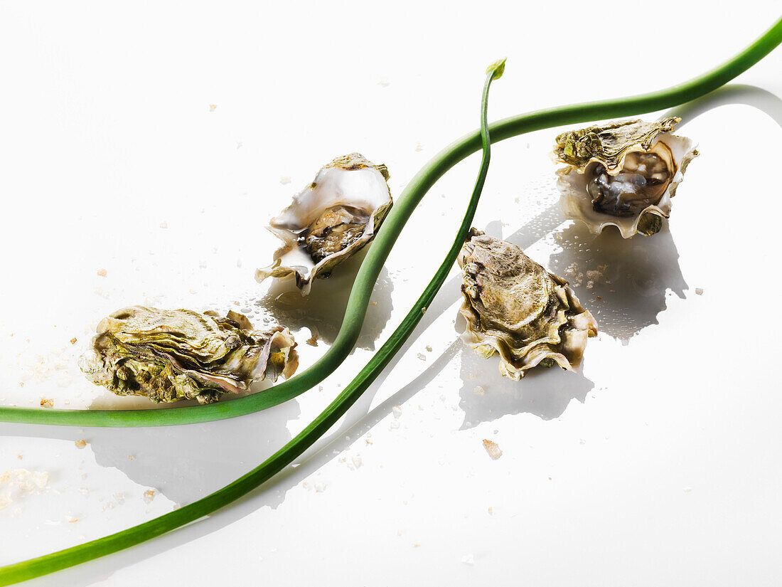 Oysters with Green Onion on White Background