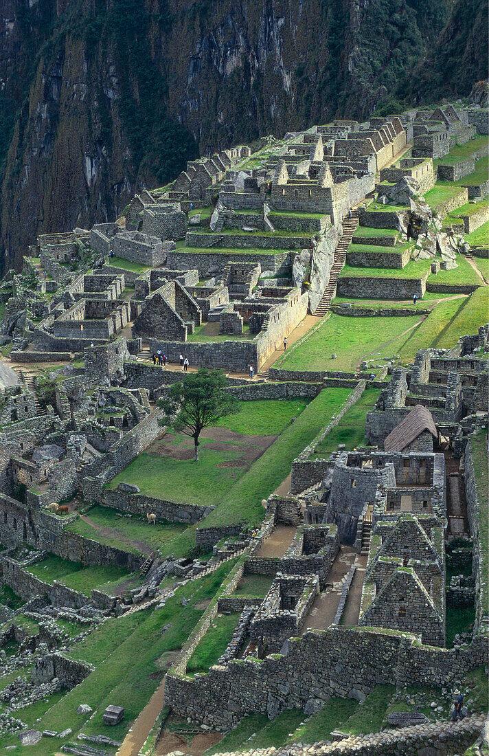 Machu Picchu Ancient Ruins, Peru