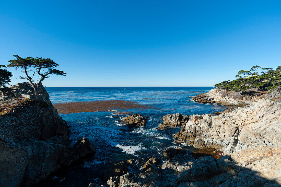 Pebble beach, 17 Miles Drive, Carmel, California, United States of America, North America