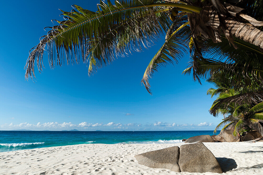 Anse Victorin, Fregate Island, Seychelles, Indian Ocean, Africa