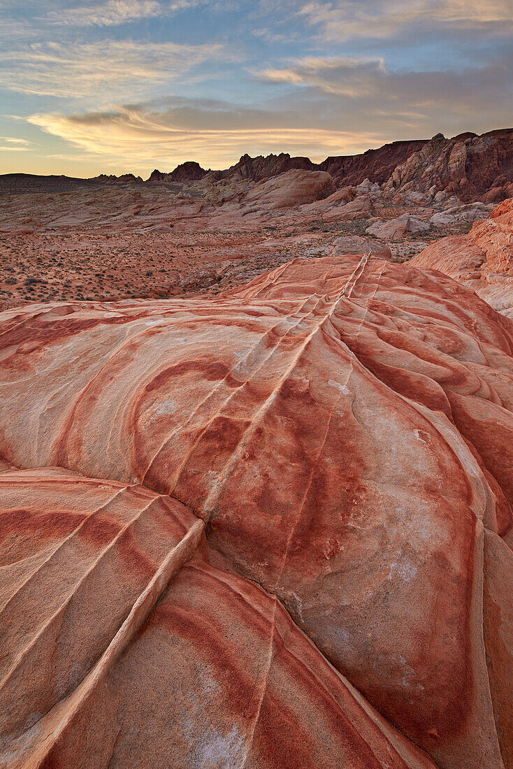 Sandstone forms at dawn, Valley of Fire State Park, Nevada, United States of America, North America