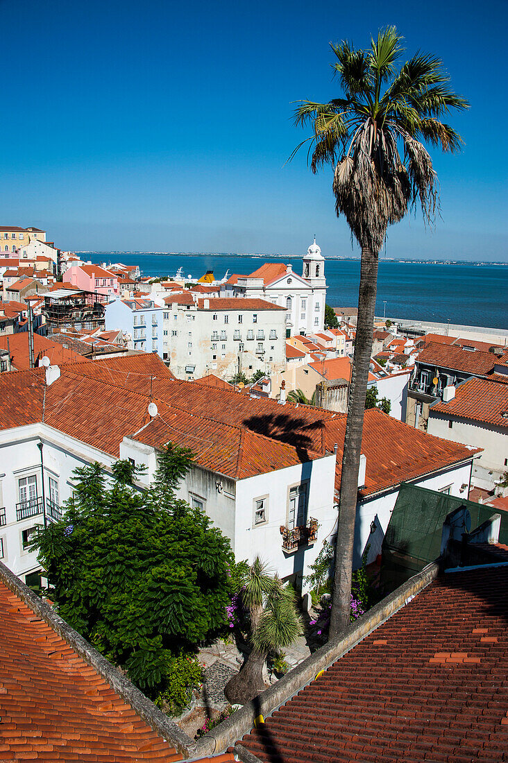 View from Portas do Sol over the old quarter of Alfama, Lisbon, Portugal, Europe