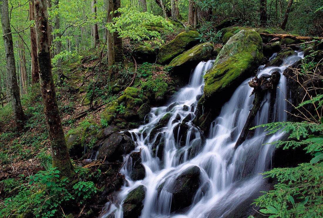 A Waterfall, Tremont Area, Great Smoky Mountains National Park, Tennessee, Usa