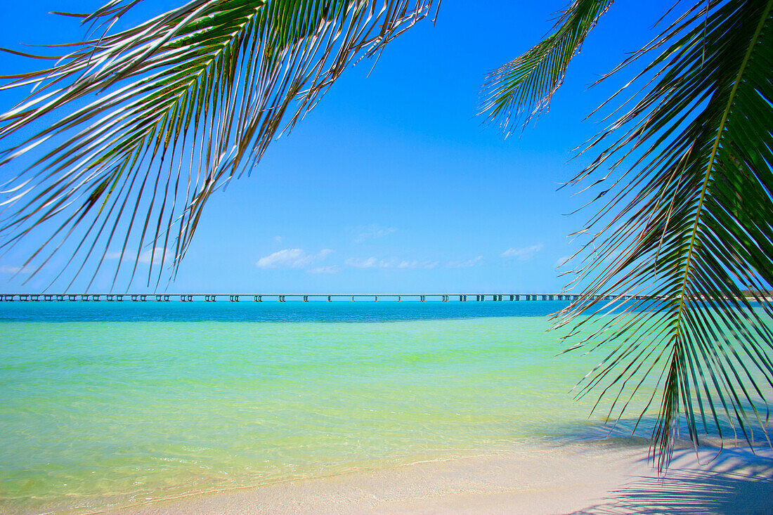 Tropical Beach, Florida Keys, Usa