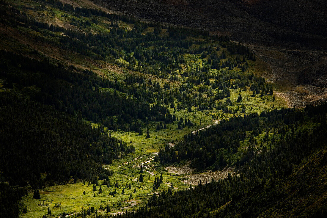 Tree-Covered Valley