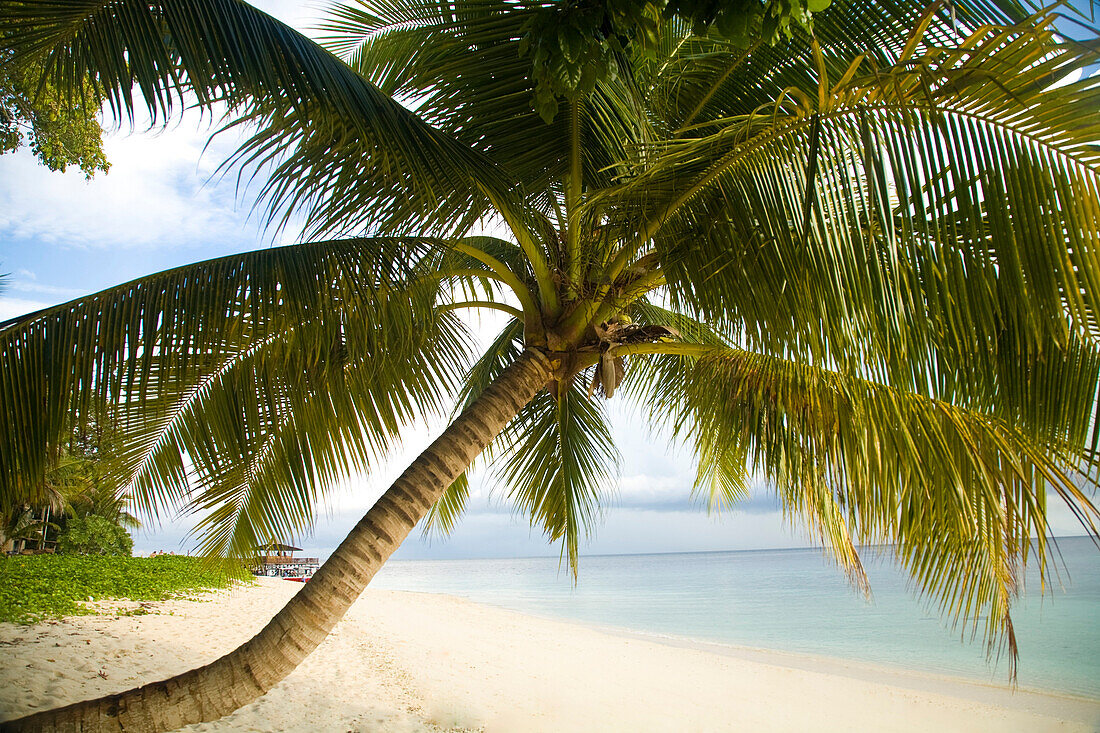 Sipadan Island, Sabah, Malaysian Borneo, Malaysia, Southeast Asia